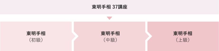 東明手相 37講座 東明手相 初級→東明手相 中級→東明手相 上級